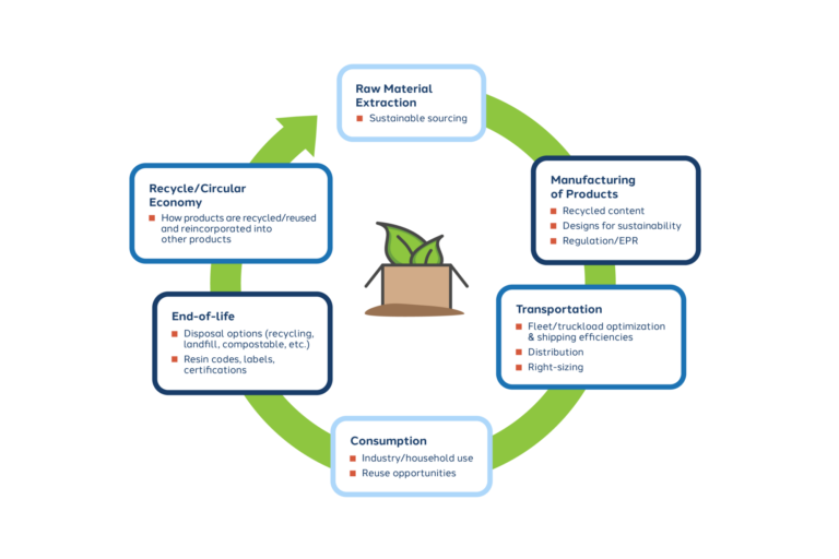 Sustainability Value Chain Cycle