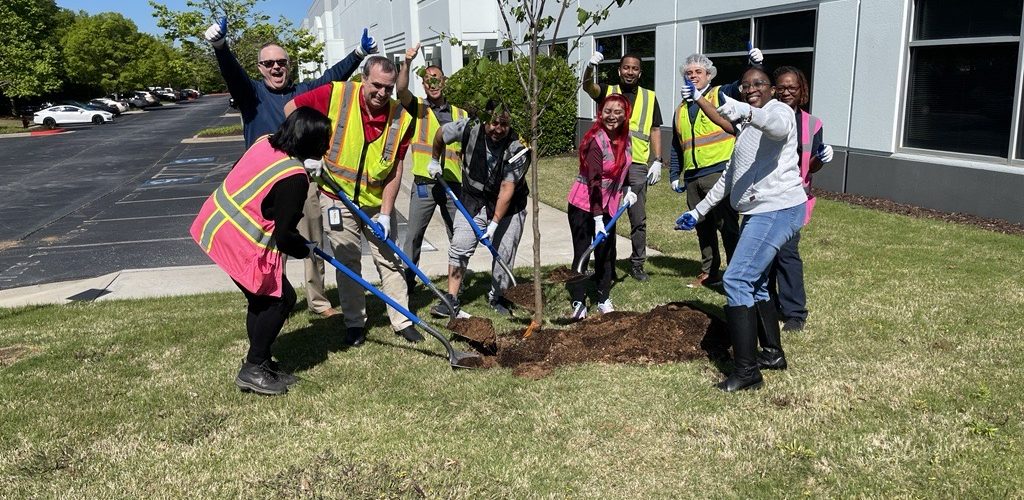 Atlanta Tree Planting