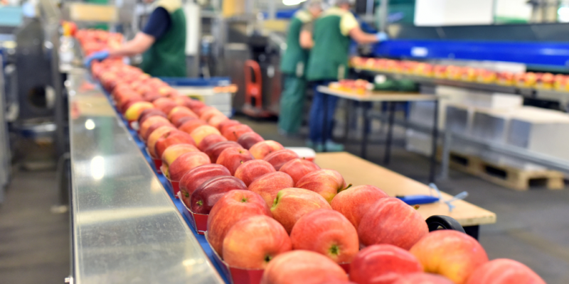Food and Bev Distributor Case Study Image