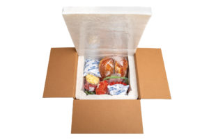 shipper eco coolers cold chain shorr packaging shipper eco coolers cold chain shorr packaging